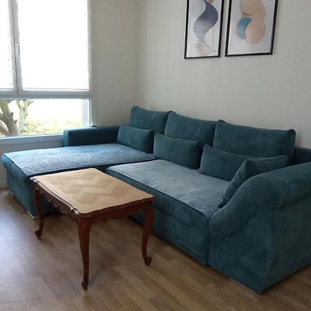 Bel Appartement Cosy Strasbourg Luaran gambar