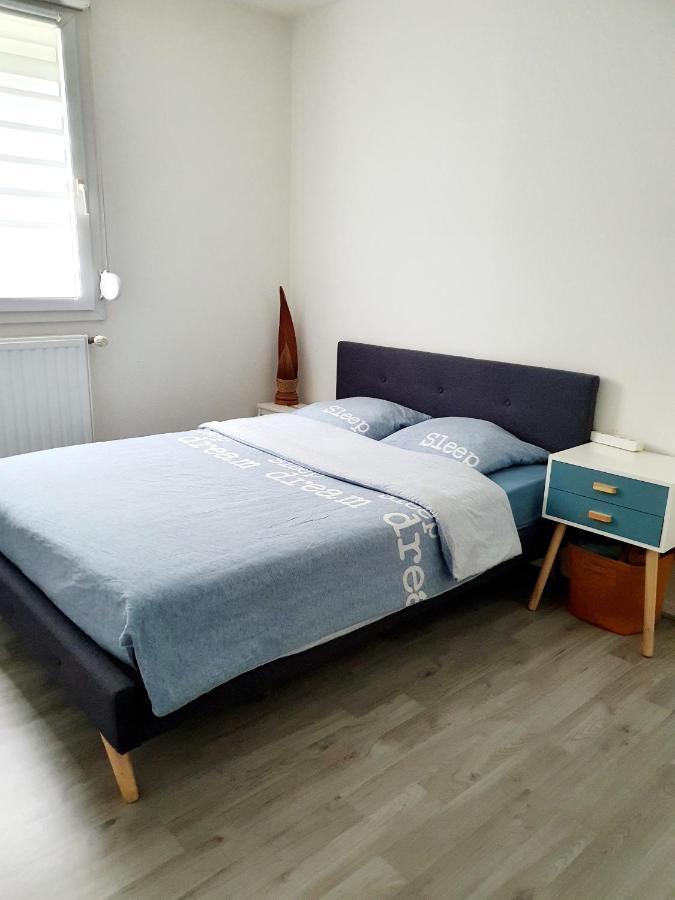 Bel Appartement Cosy Strasbourg Luaran gambar